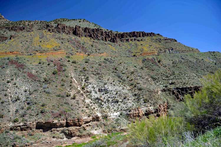 salt river canyon